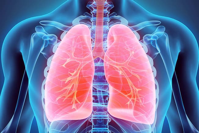 Badan sihat jantung sihat